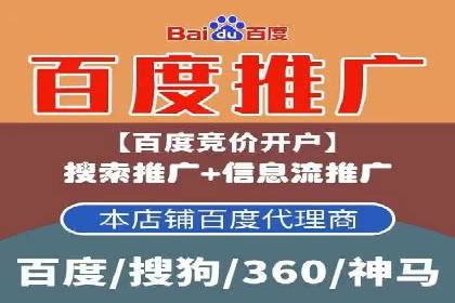 百度竞价广告运营的技巧与误区：成功案例解析